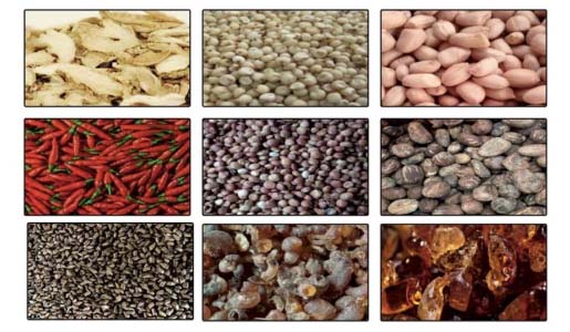 Agro Imports & Exports